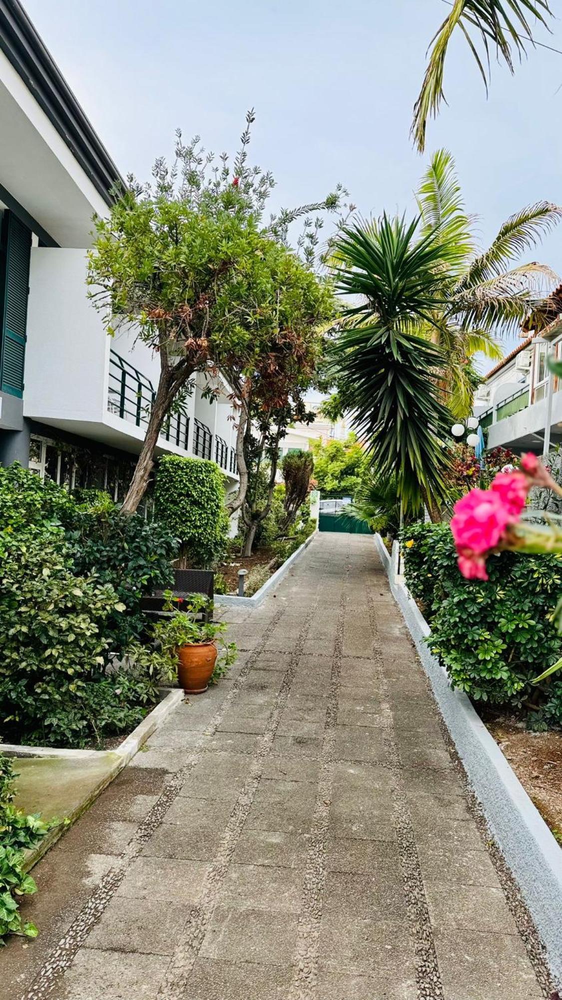 Monte Verde Funchal  Bagian luar foto