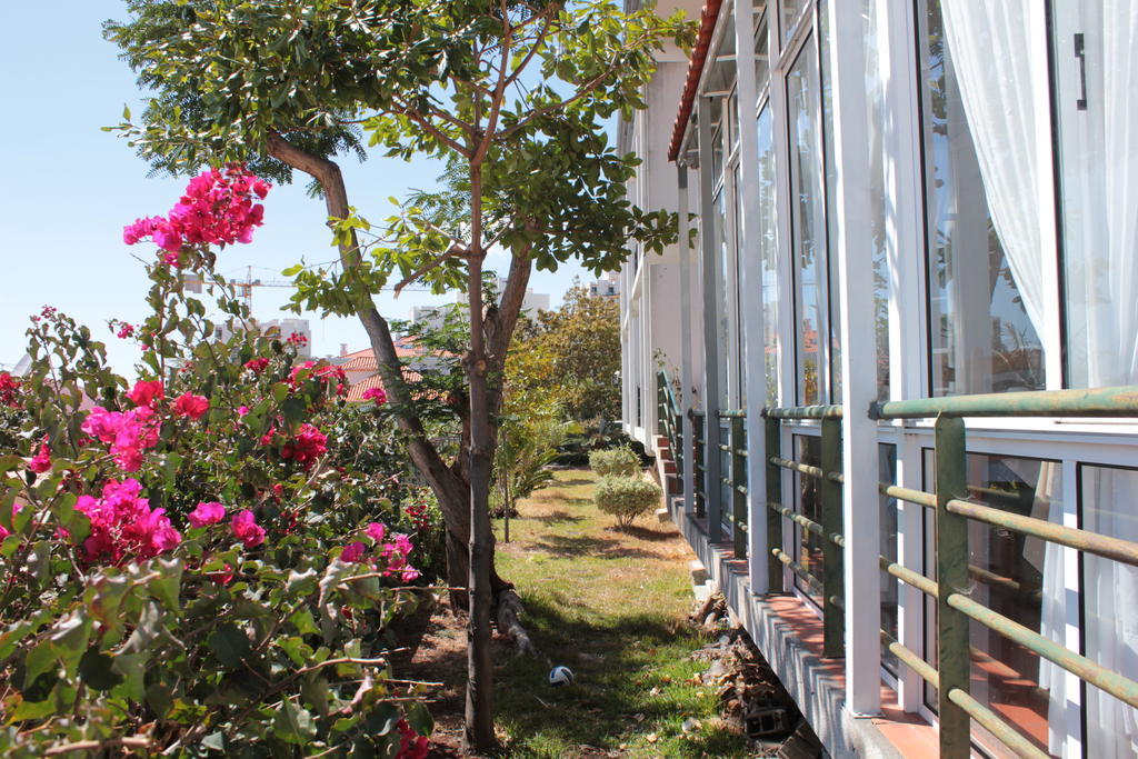 Monte Verde Funchal  Bagian luar foto