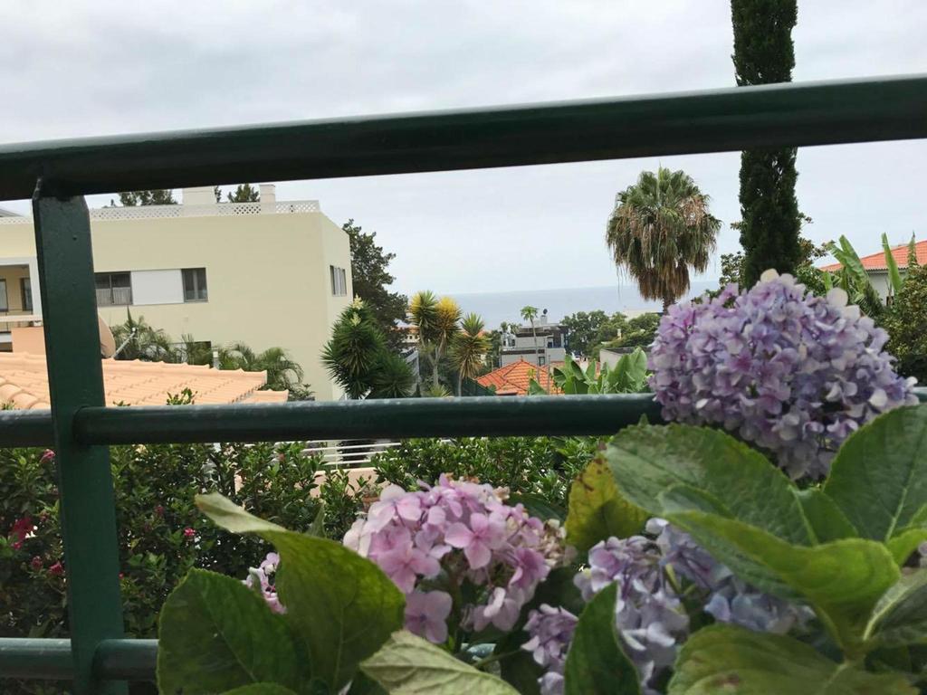 Monte Verde Funchal  Bagian luar foto